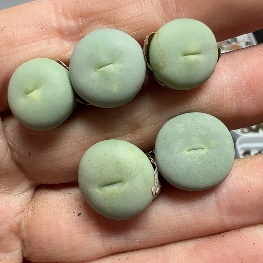【闪购商品】257……