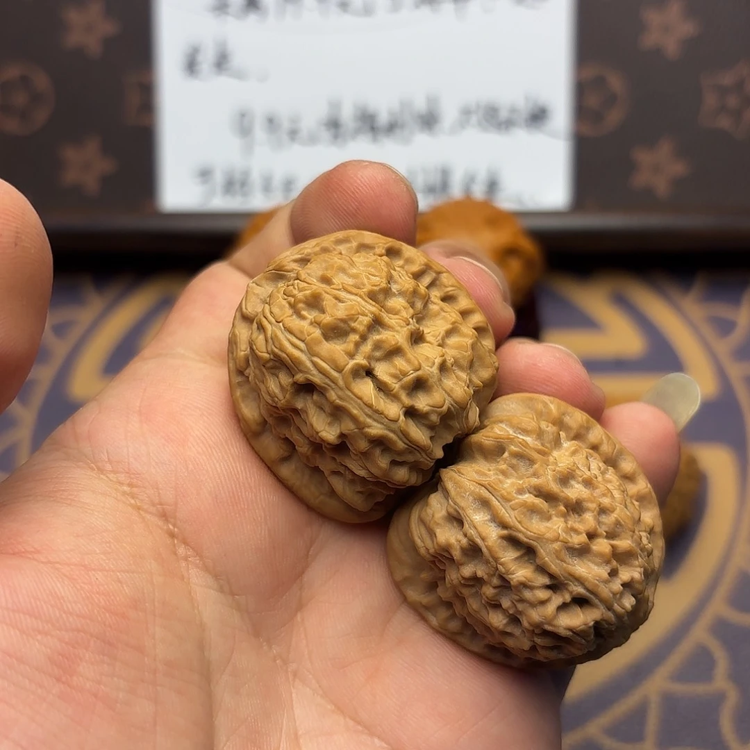 核桃02号 福利 白狮子