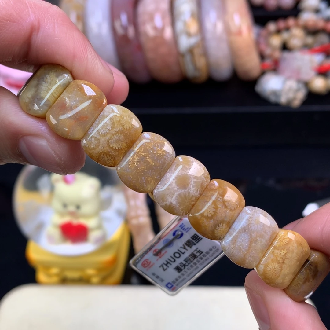 硅化珊瑚（珊瑚玉）未镶嵌颈饰17号mini版型