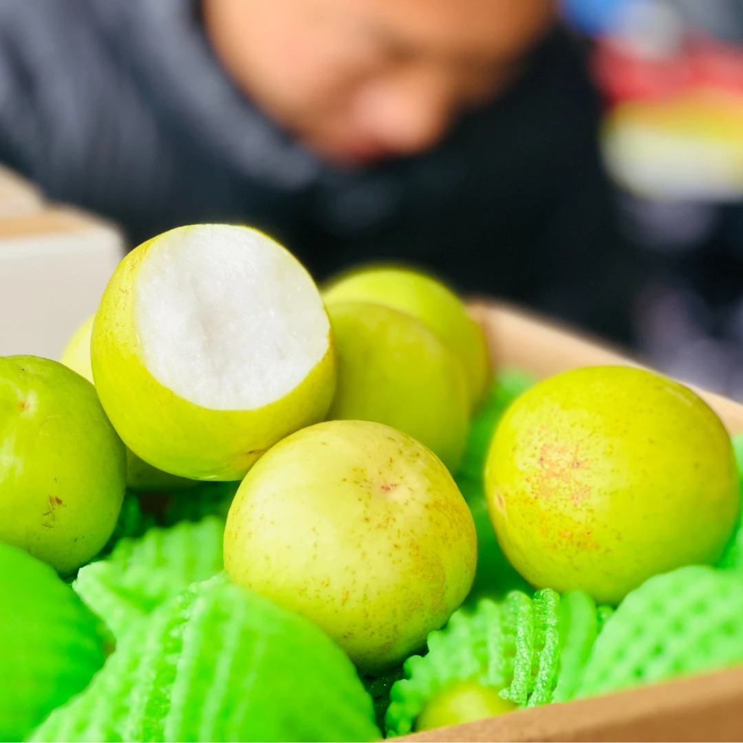 云南版纳脆甜苹果枣 特大果3斤/9斤装