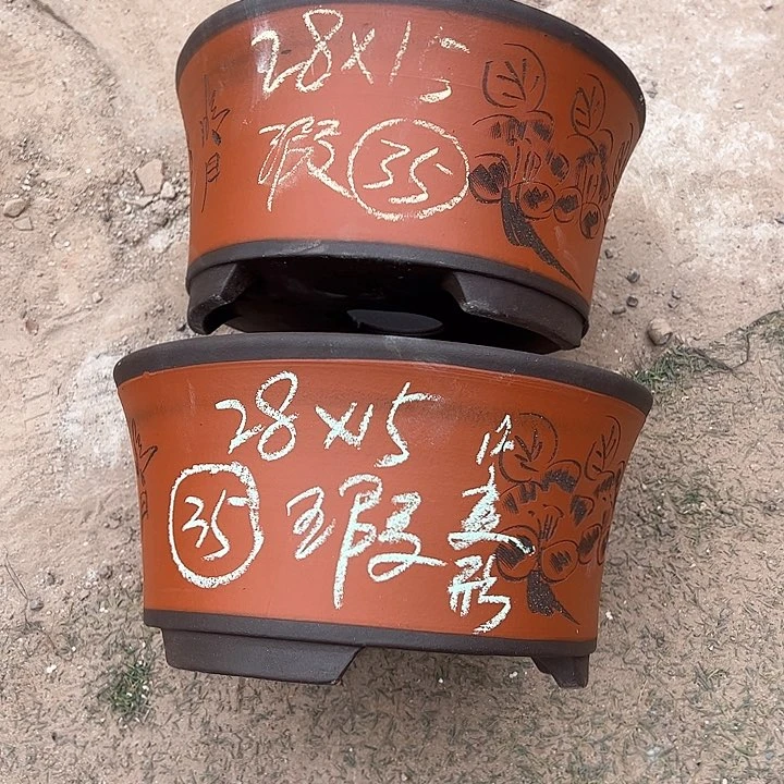 红陶鱼****?紫砂工艺厂……紫砂工艺厂……