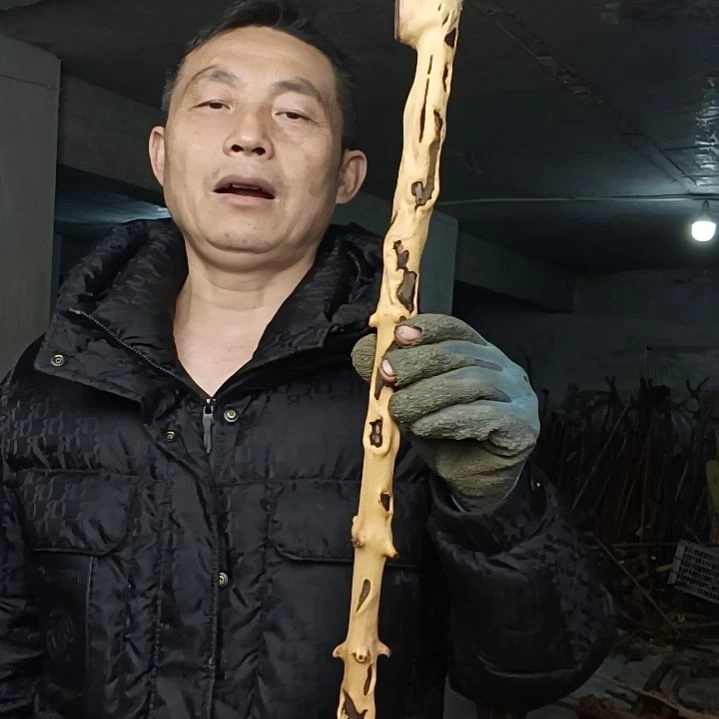 稳定木➰****➰贵州檬子木   铁马鞭   根艺  半成品