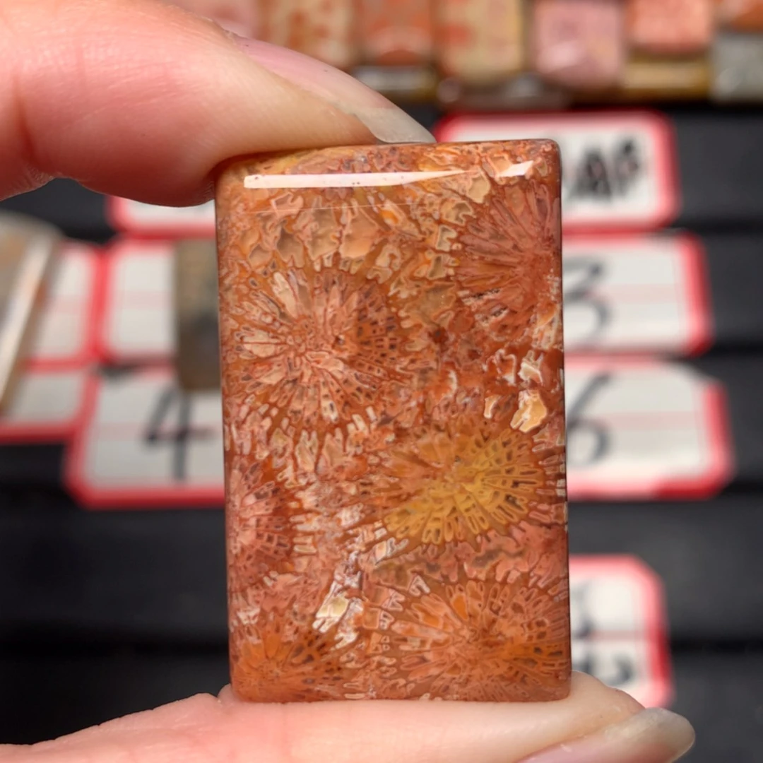 【闪购商品】未镶嵌颈饰硅化玉兰**静