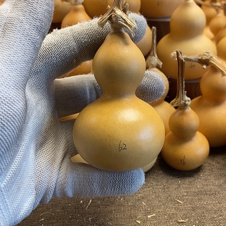 文玩葫芦 完美主义者 慎拍62