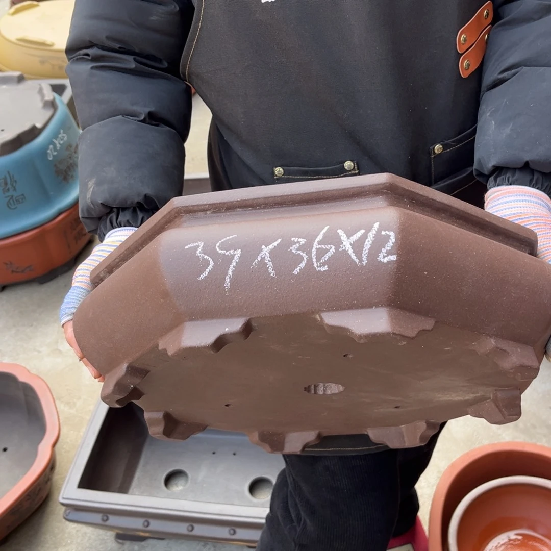 紫砂花盆盆景艺术