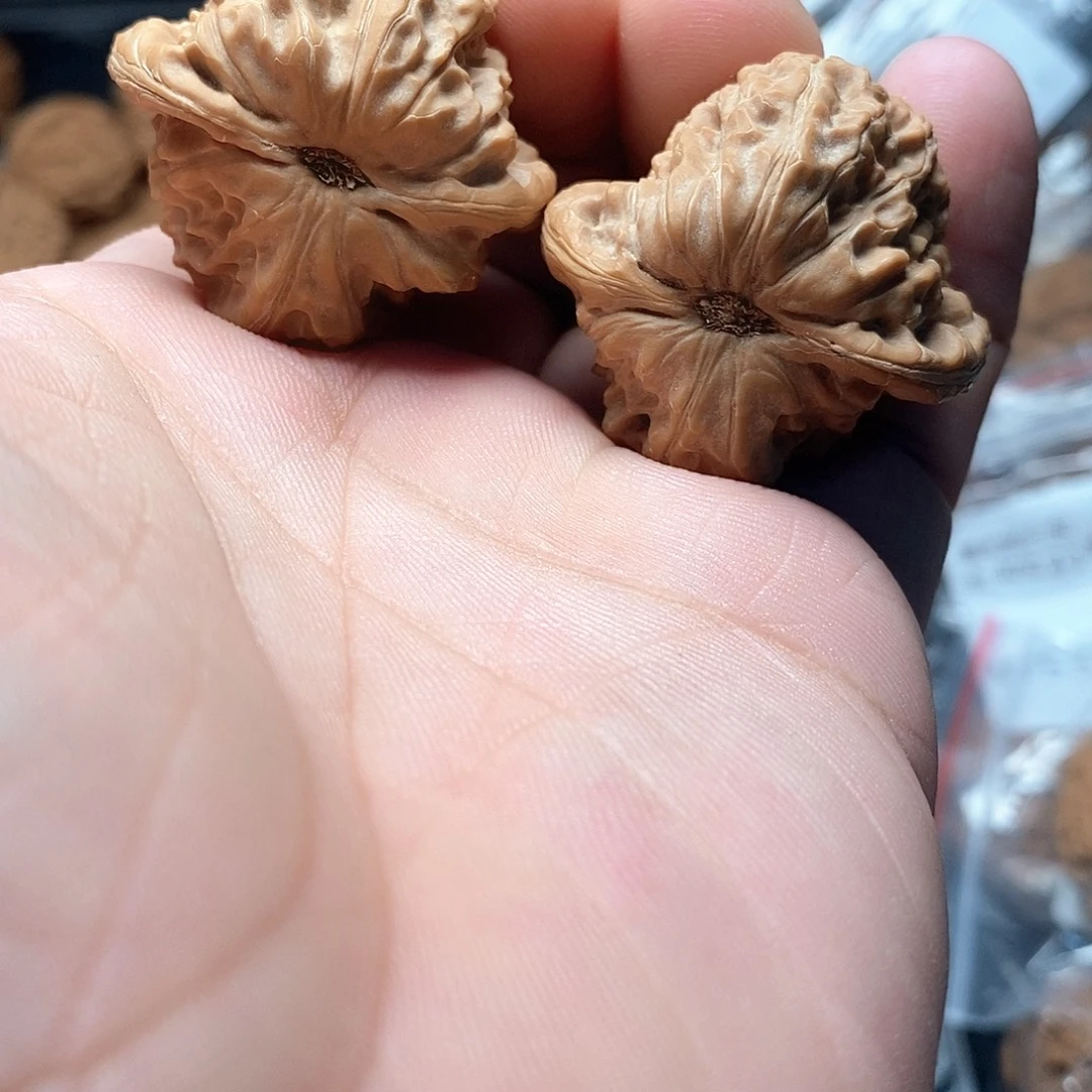 文玩核桃白蛇原树36-278