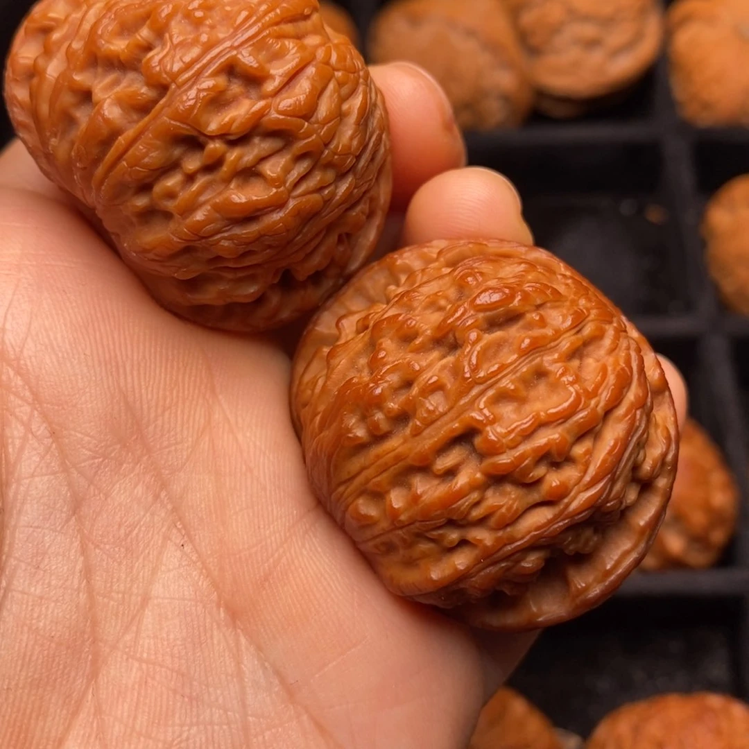 秦岭野生文玩核桃