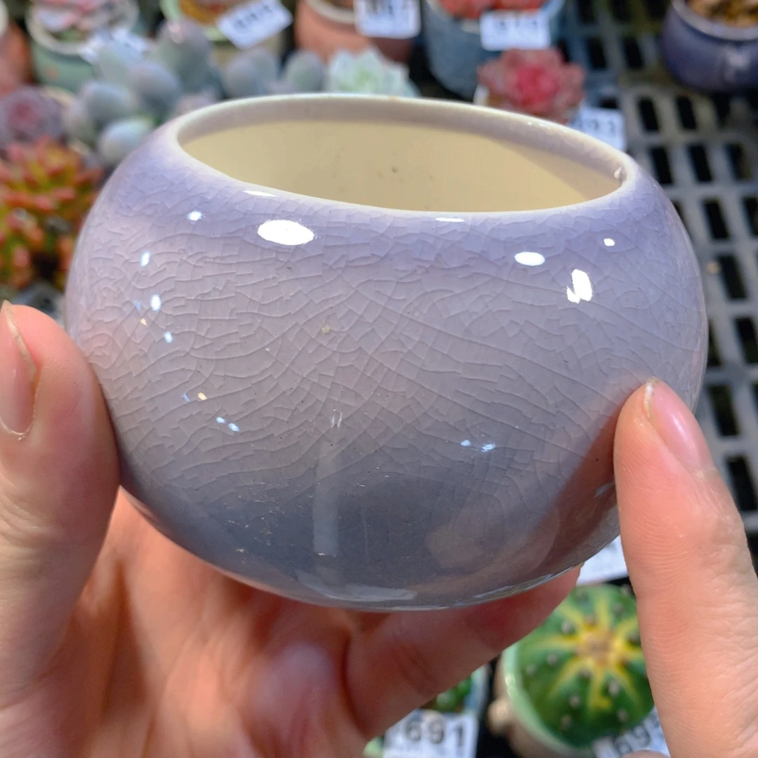 9厘米陶瓷盆量拍1