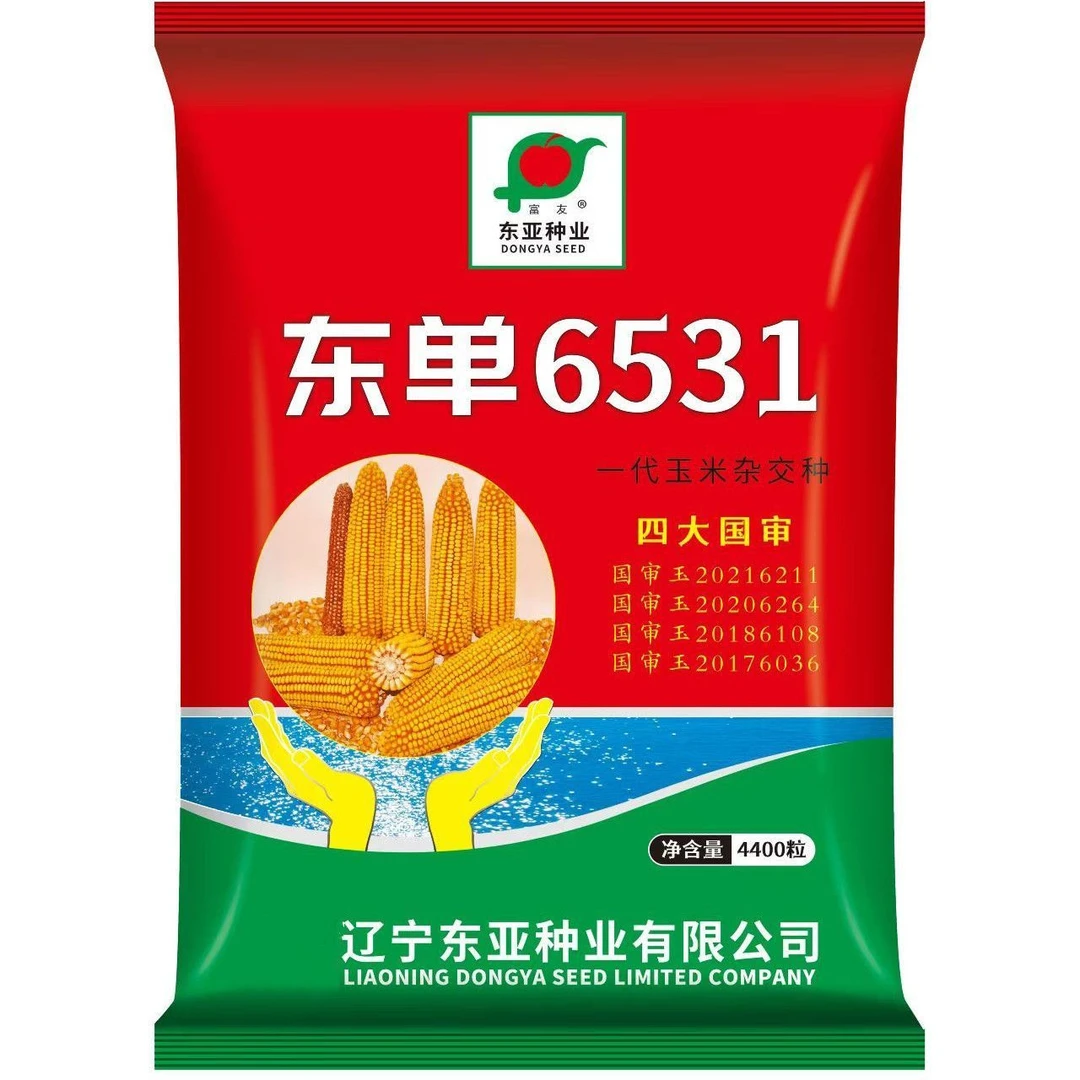 高产东单6531玉米种子双胞胎黄金粮紫杆红轴大棒农科院