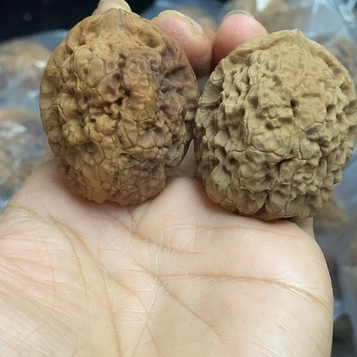 文玩核桃把件云南铁核桃基地24