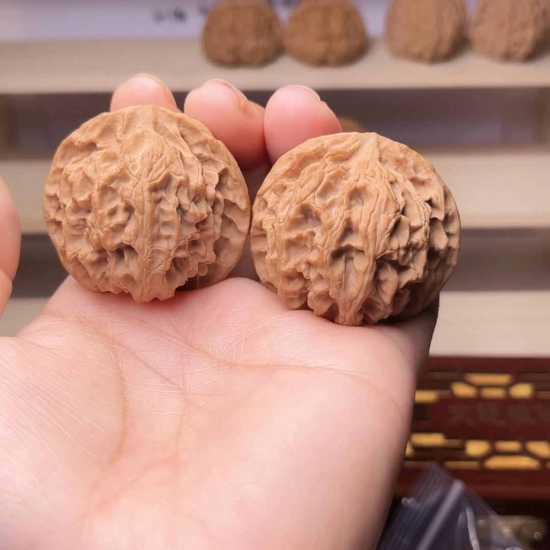 42尺苹果园特别爱上色