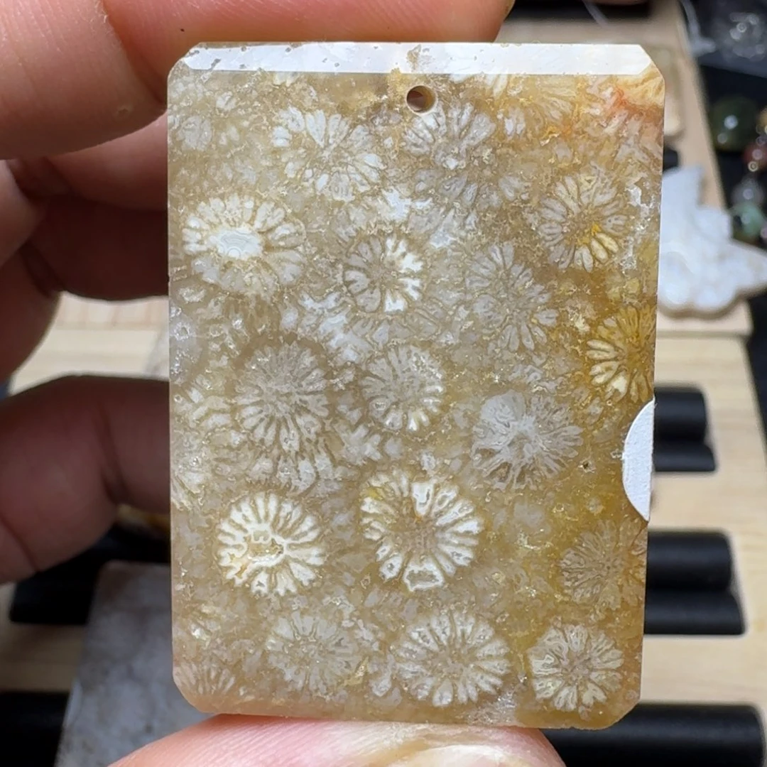 未镶嵌纯天然色有机玉石保真色硅化玉