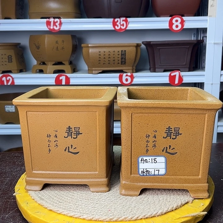 花盆紫砂你在一起