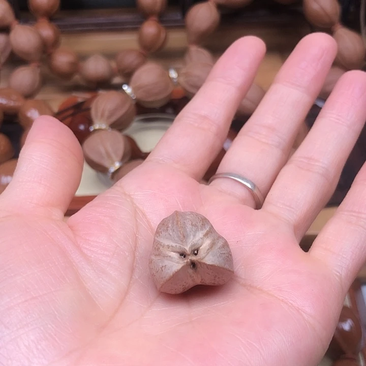 琪***主橄榄核手串梅林铁核异核
