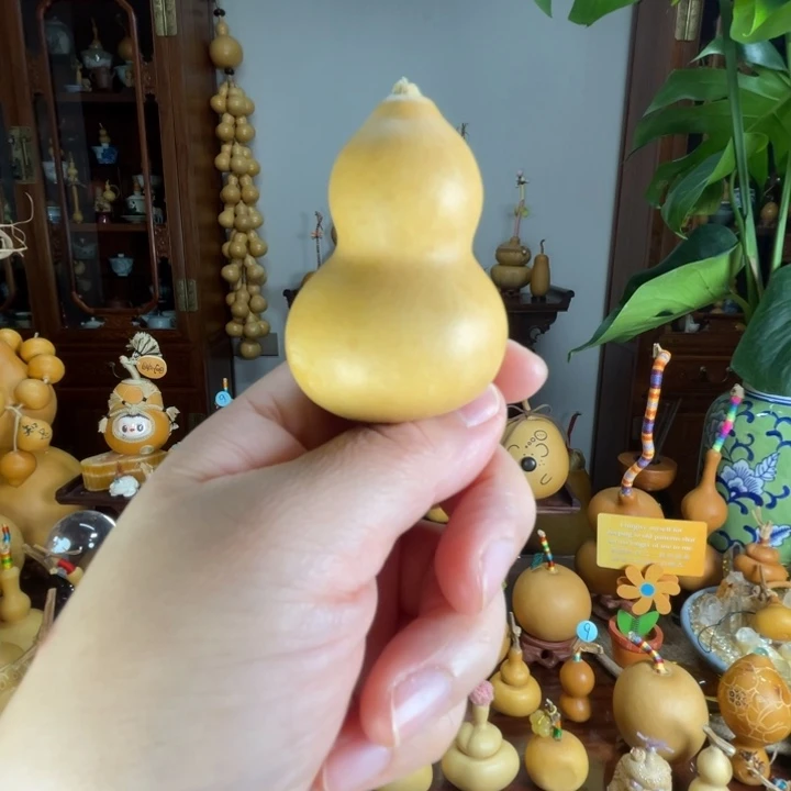 福福葫芦厚皮响籽