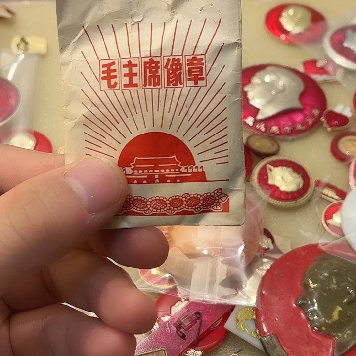 赵***兮像章一一一一一高贵轻扬在