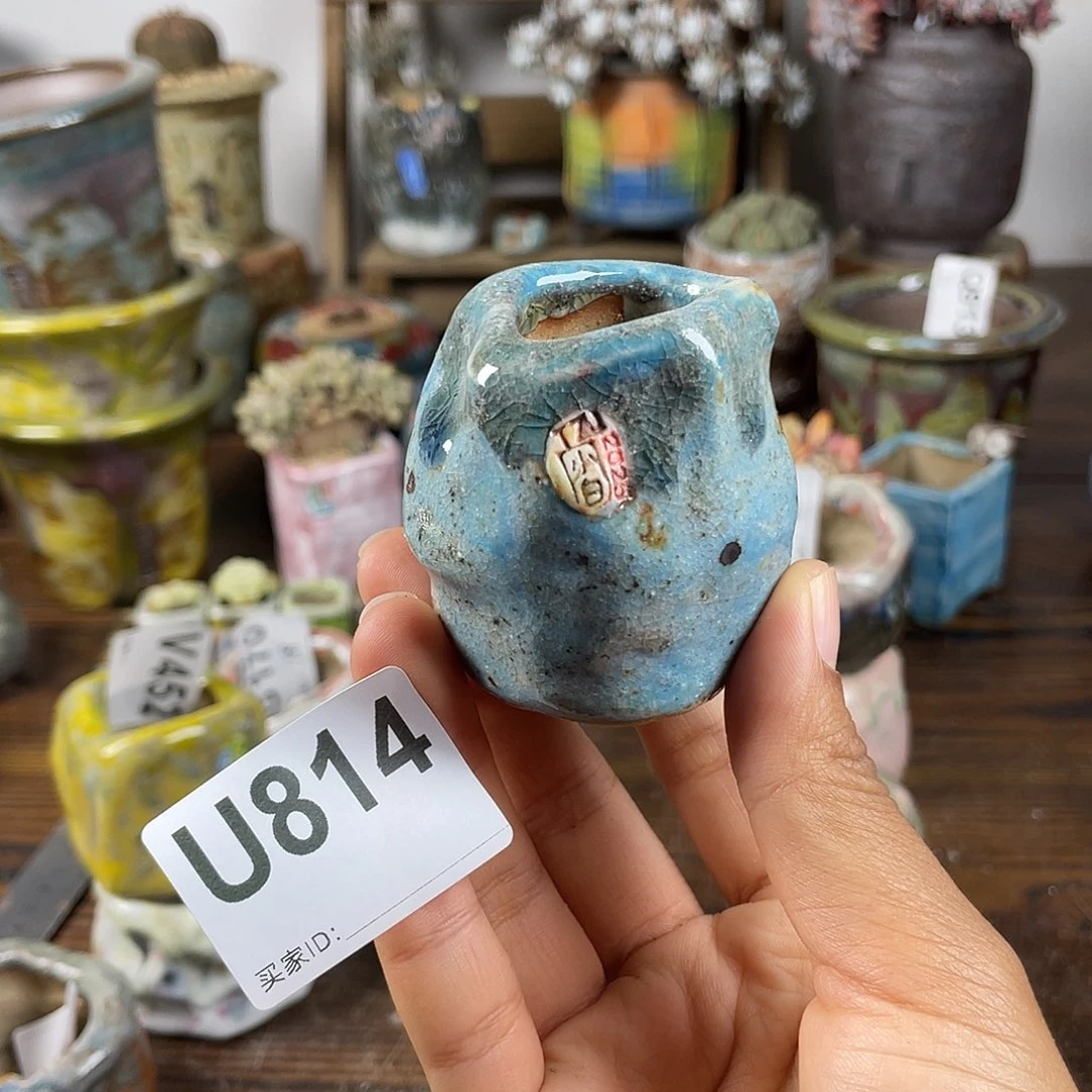 坛子姐花盆 小白孤品 内口2.5