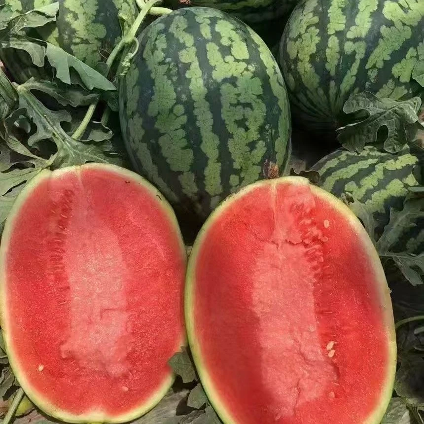 【甘美4K无籽西瓜】大瓜 脆甜无籽 1颗装 仅限太原晋中吕梁购买