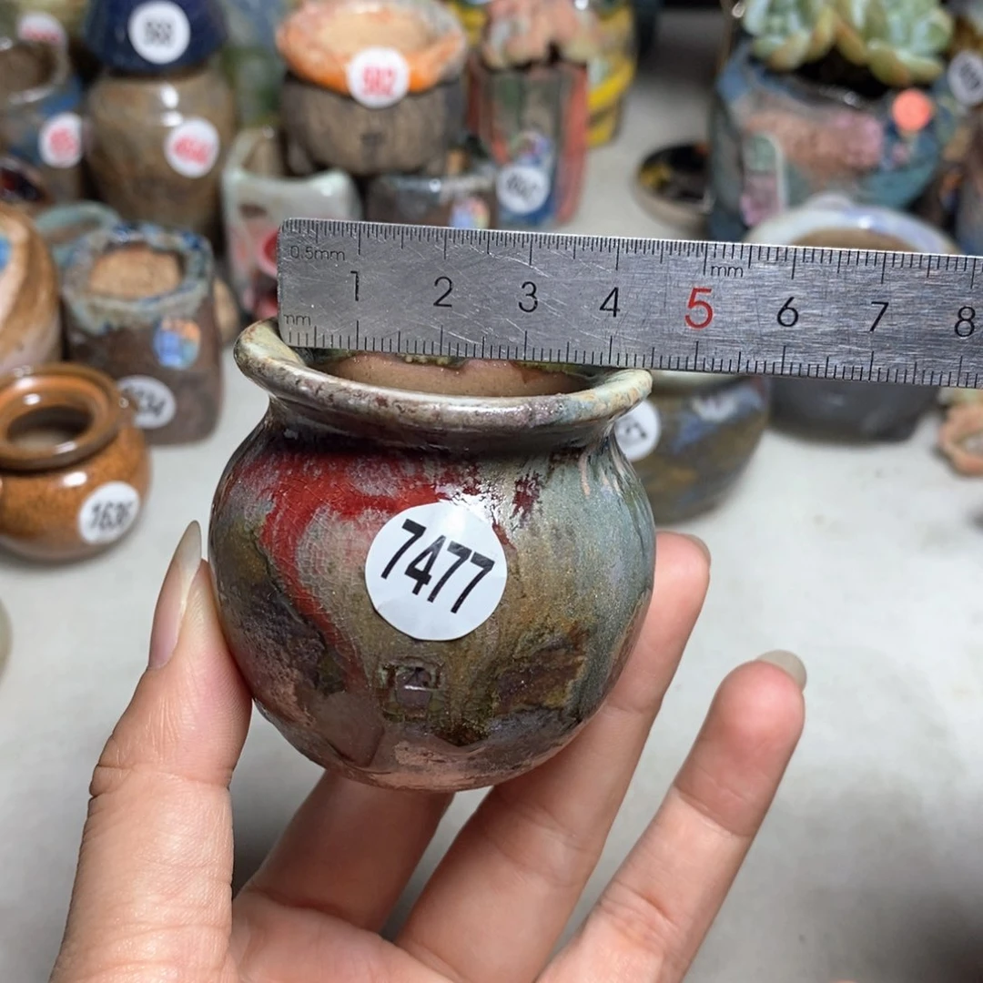 拍5送一个小礼物