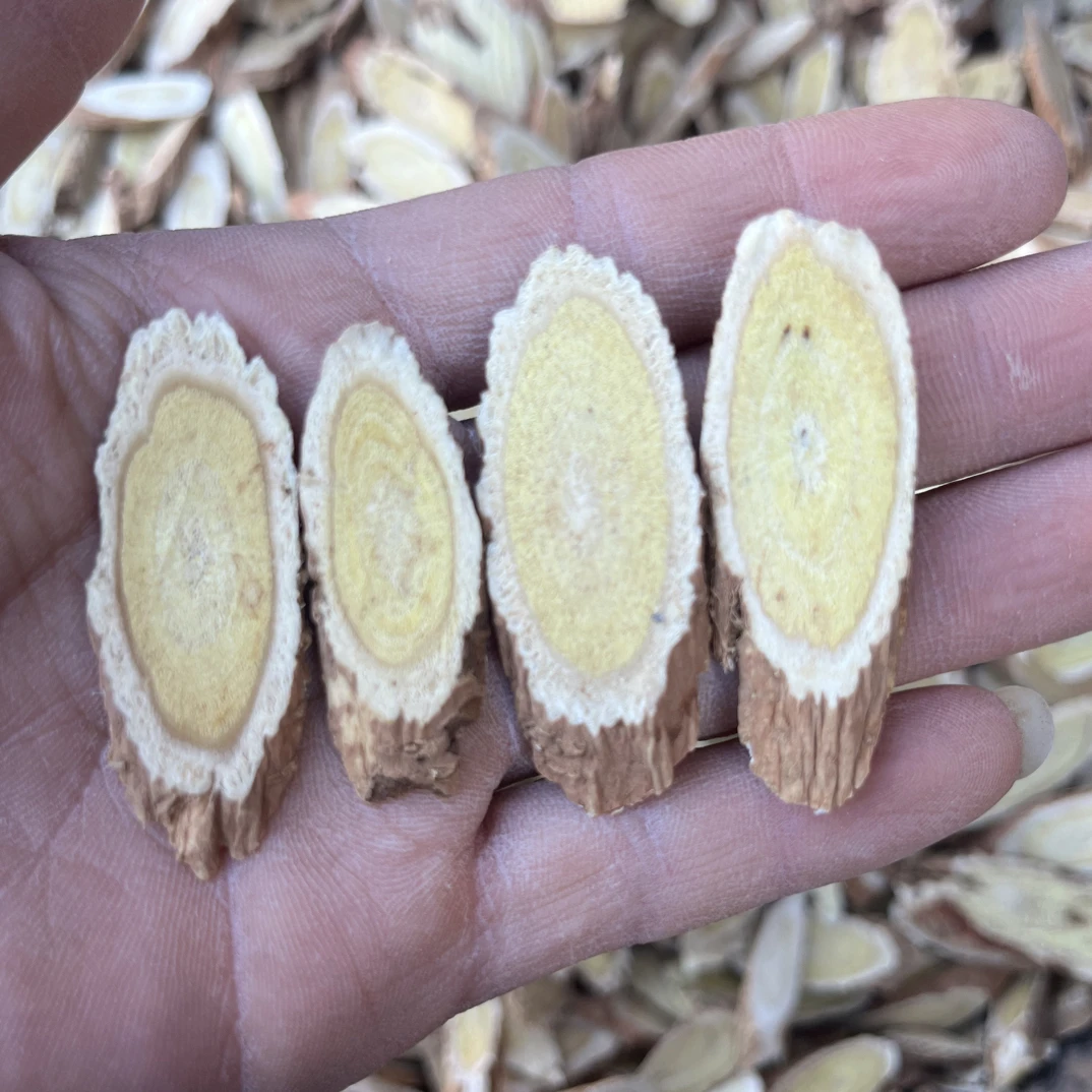 精选老黄芪主根切片含蛋黄心