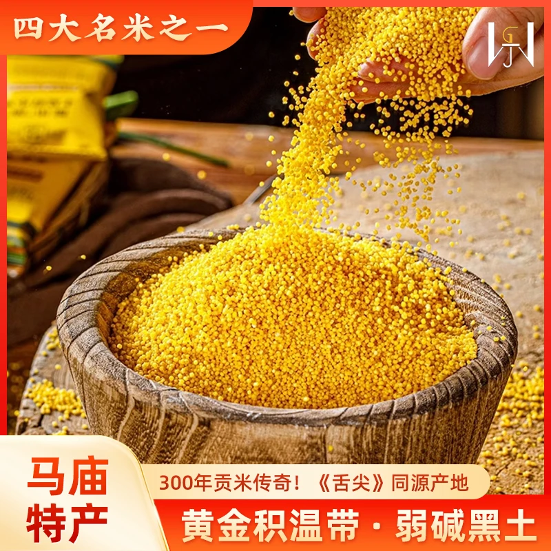 非遗贡米山东马庙金谷小黄米3斤石碾香糯米油浓厚黄小米新米