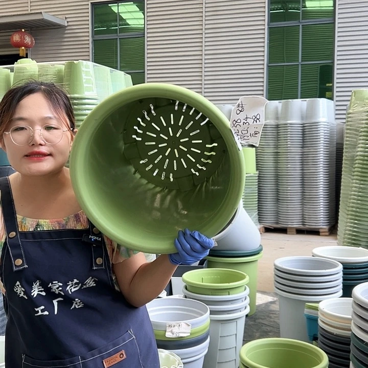 四季盆8#果绿色5个无托