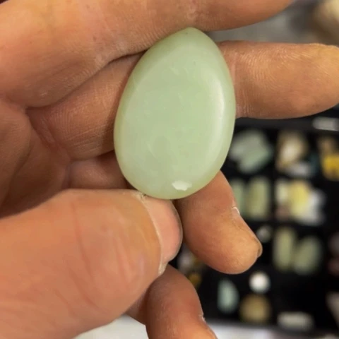 杂色豆（科檀/科特迪瓦檀木）鱼***快