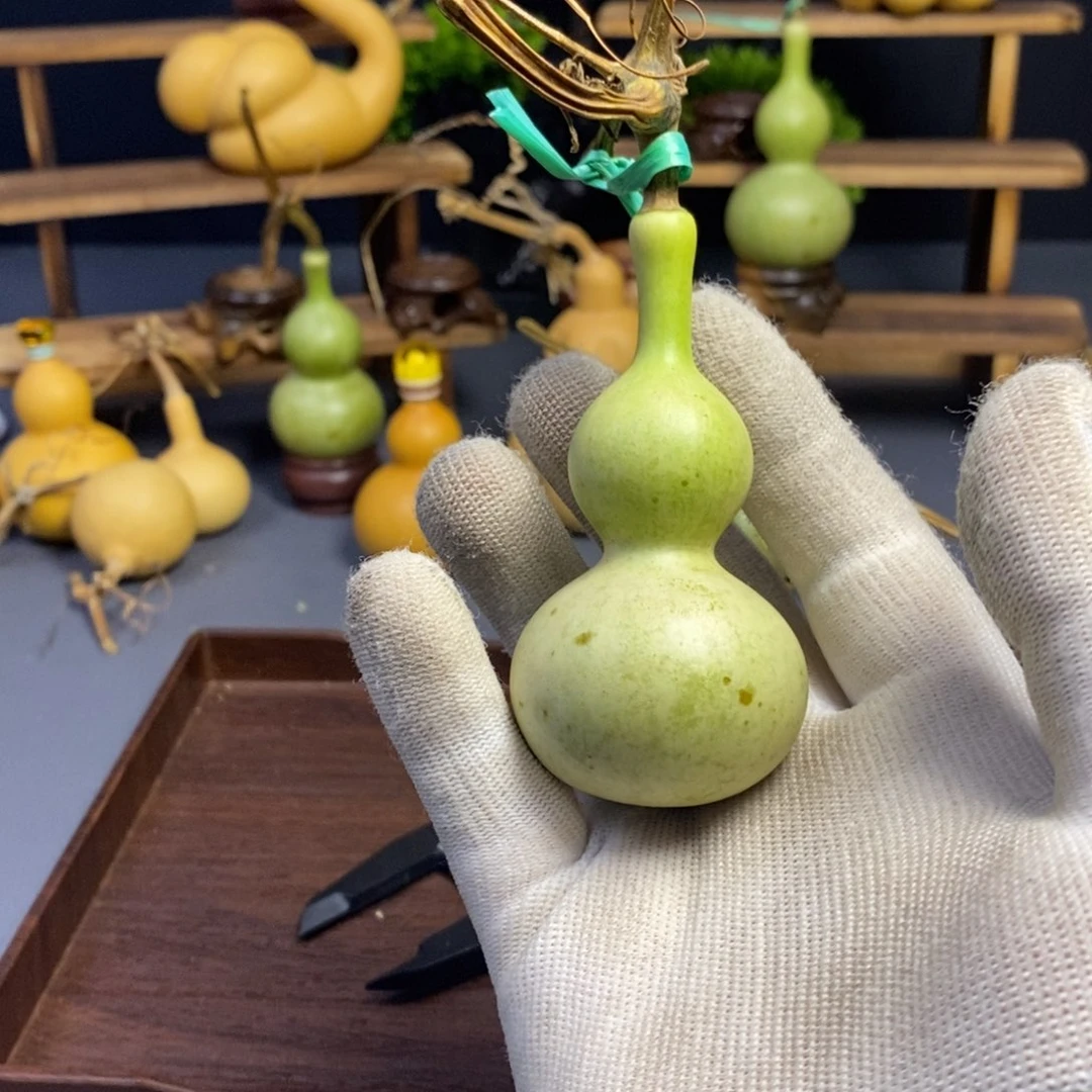 葫芦文玩青皮葫芦