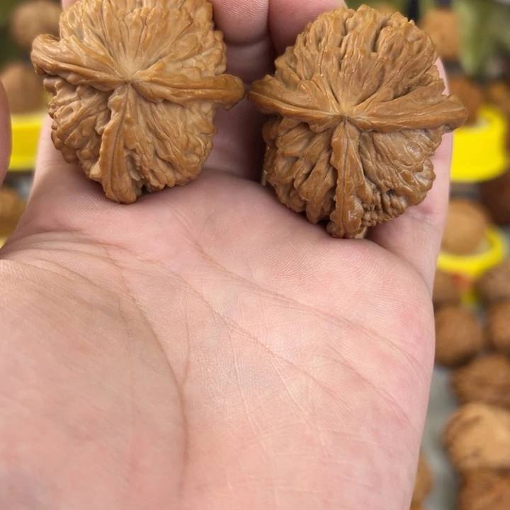 文玩核桃吊坠44尺全品无修白狮子正丁 粗棱子红皮果 克重47