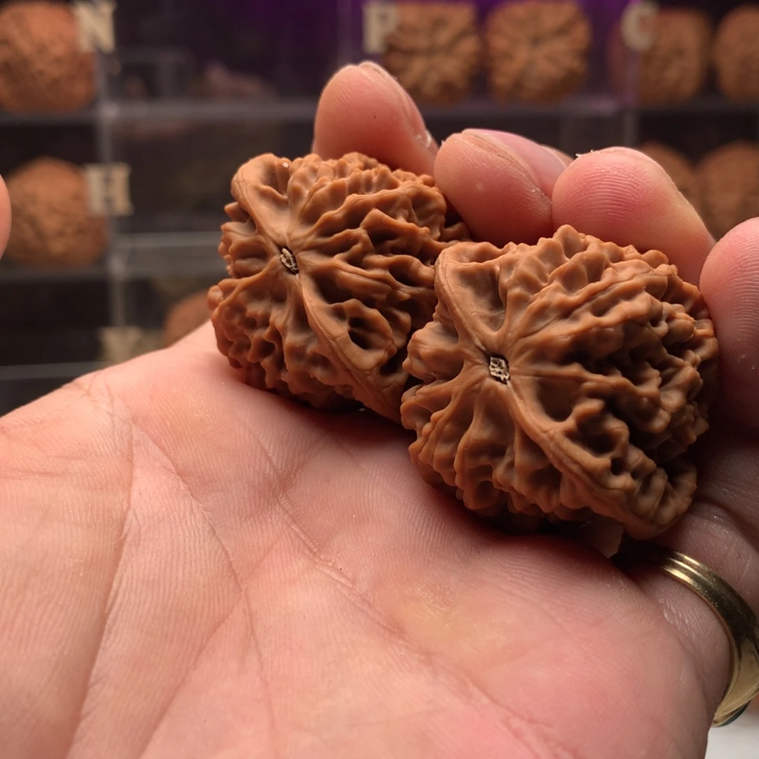 梅***帝吊坠文玩核桃秦闷666888