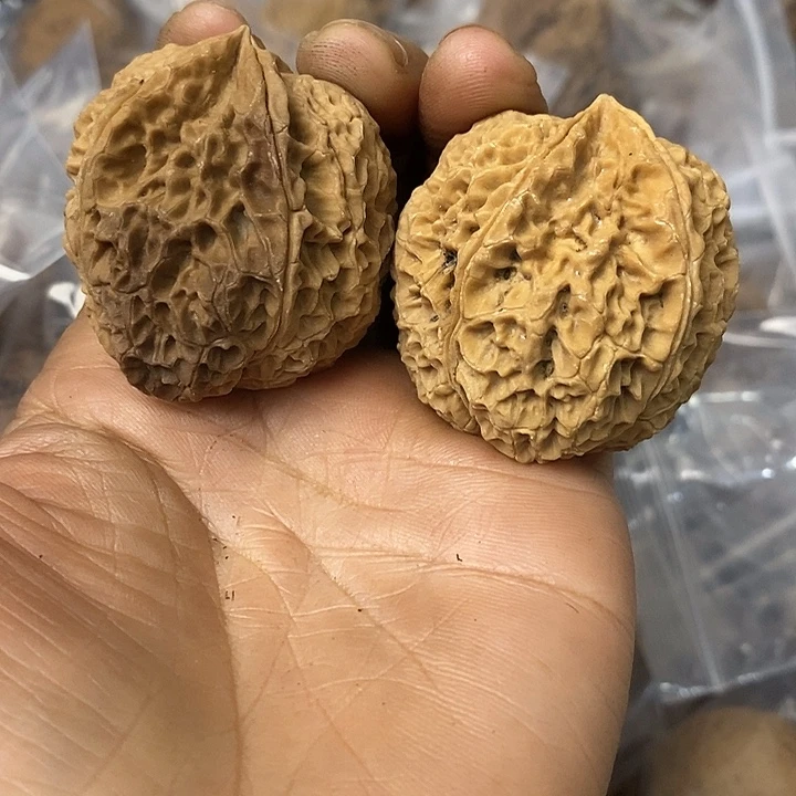 核桃云南铁核桃基地38