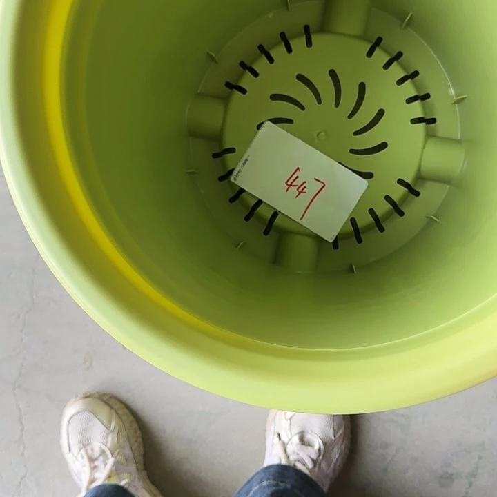 编号447缺口瑕疵