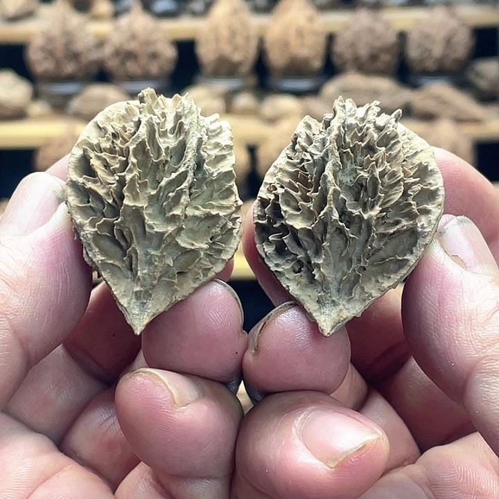 文玩核桃把件刺背龙脊13