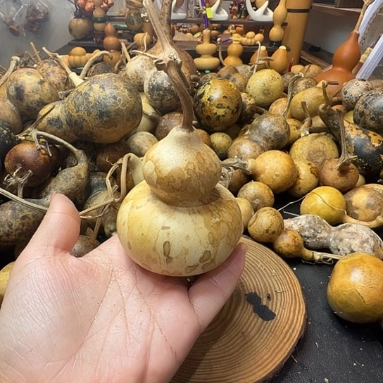 海**空葫芦葫芦葫芦葫芦