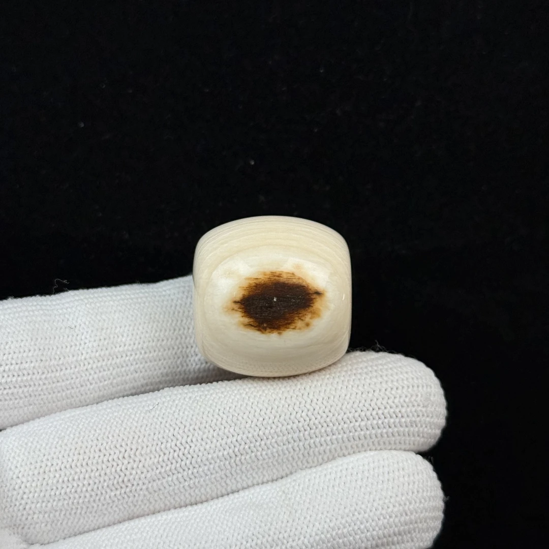 D66-90天然猛犸牙 黄金瞳墩子25*24.5mm支持复检假一罚十