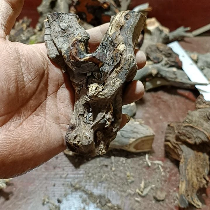 柏木（崖柏）大**者火琉璃原叉原叉