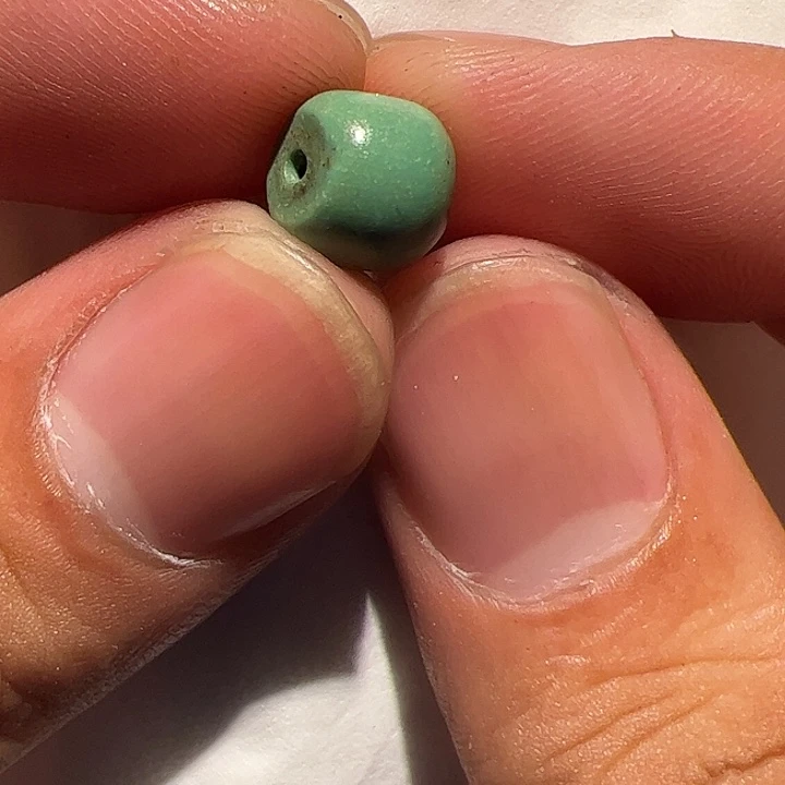 香榧木你的时候你