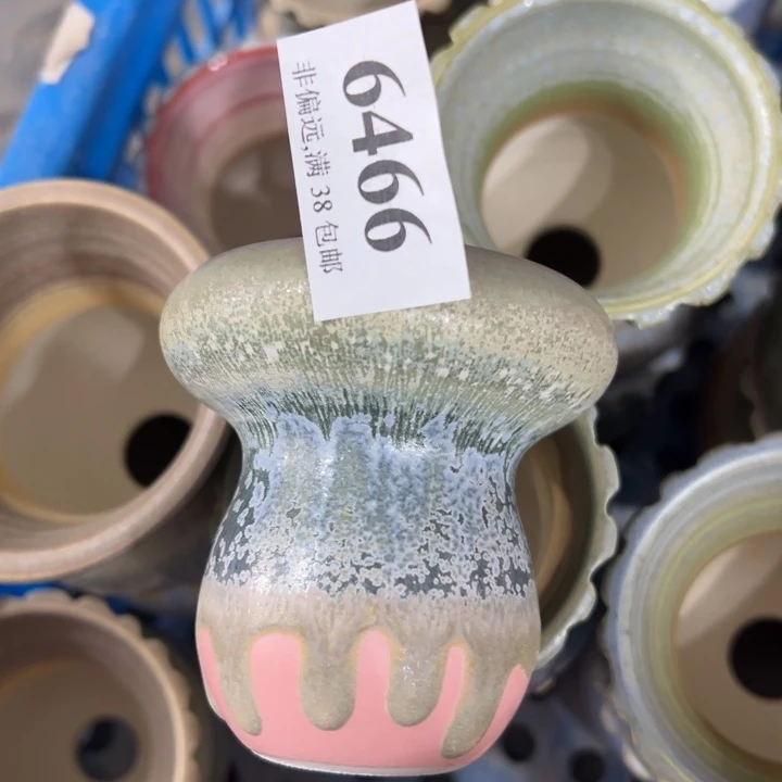 口6高7 点赞福利……