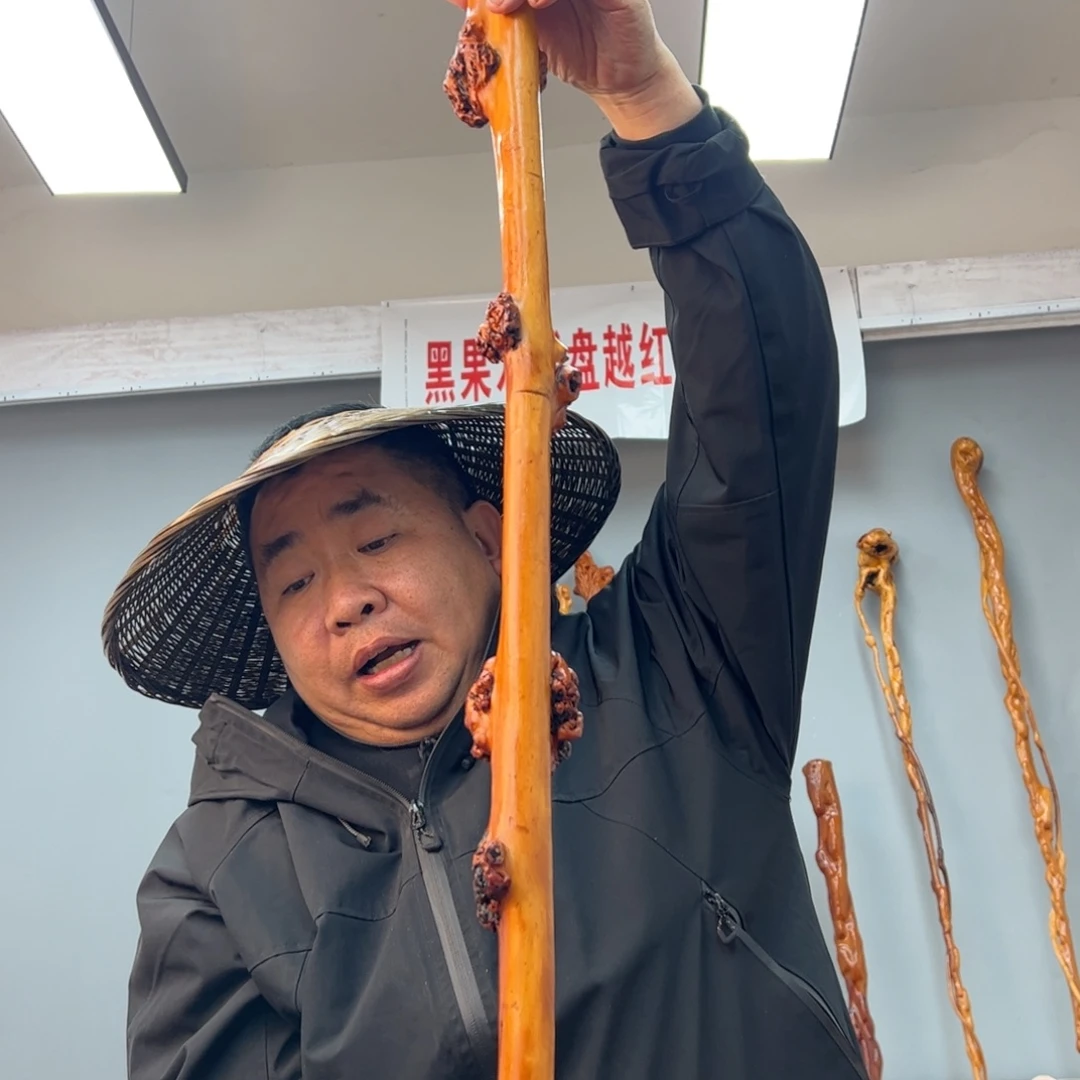 黑果木其他王黑果木902