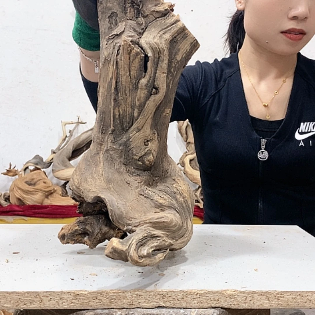 【闪购商品】柏木张**雕我们都是好孩子