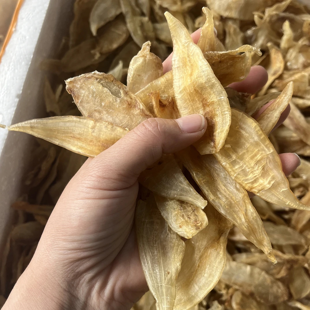 约130头左右金龙鱼胶原色花胶度甜品