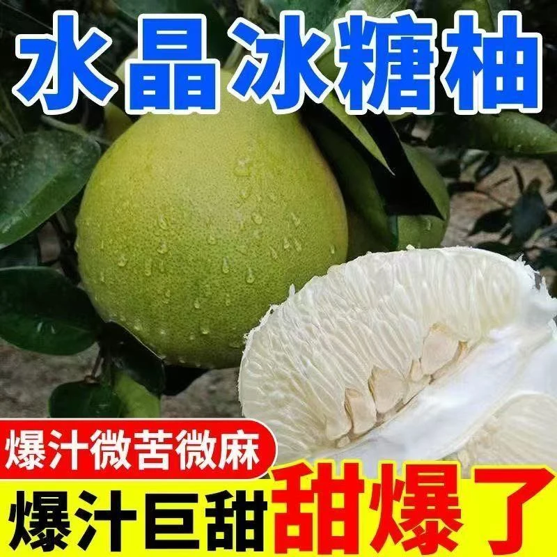 新鲜应季白肉薄皮水晶冰糖柚子清甜多汁水果