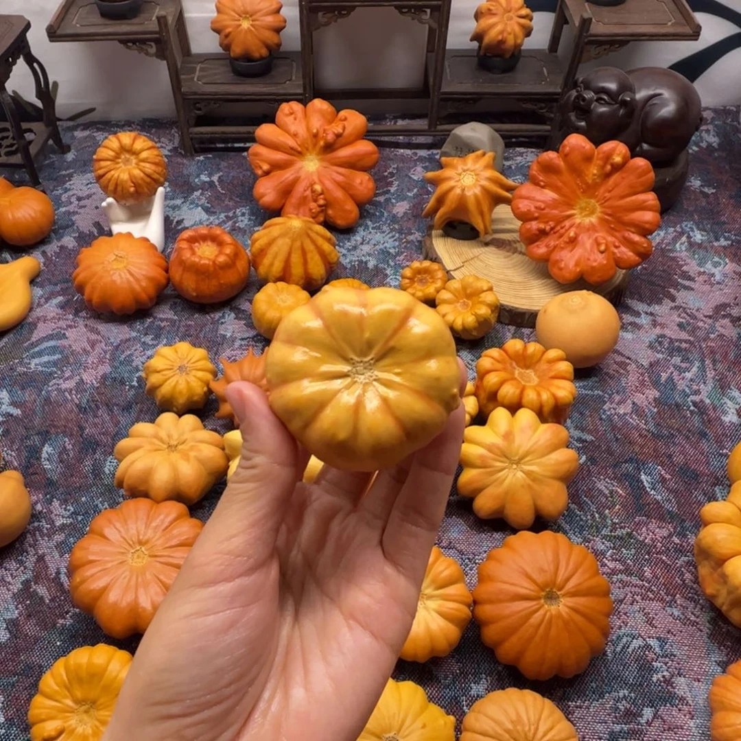 墨西哥葫芦小爱心