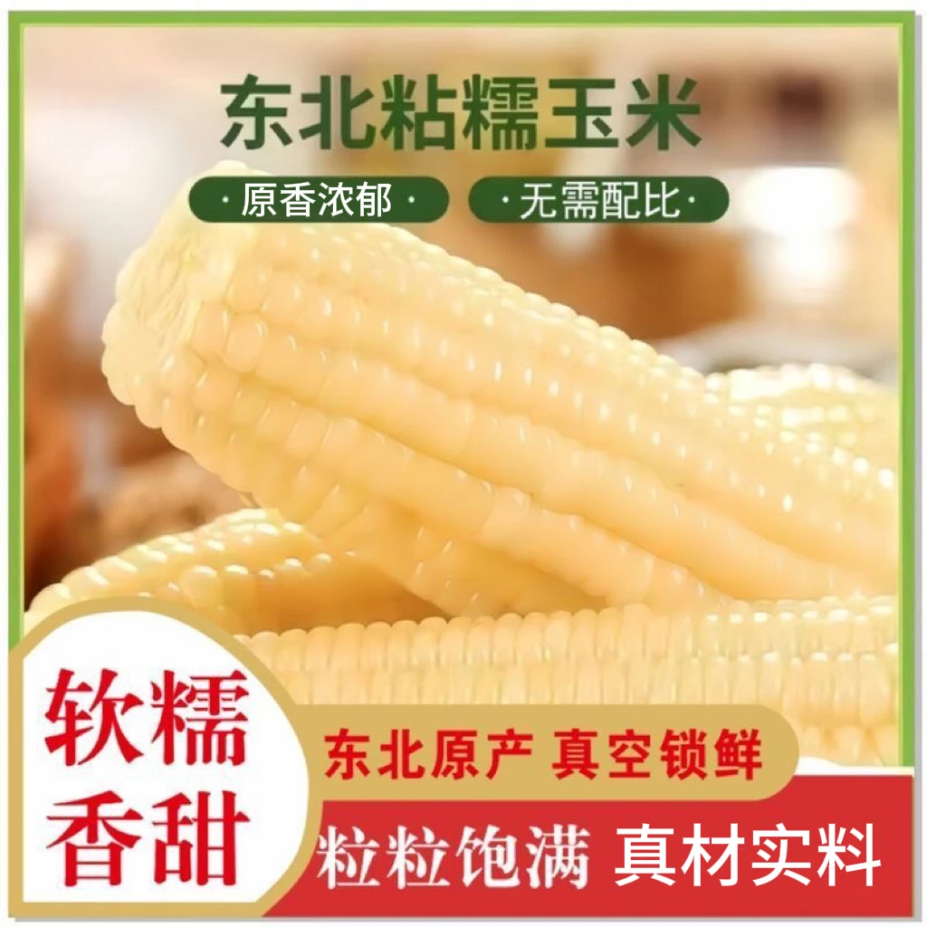 【试吃两根】白糯玉米软糯香甜包装整箱10支共5-5.5斤