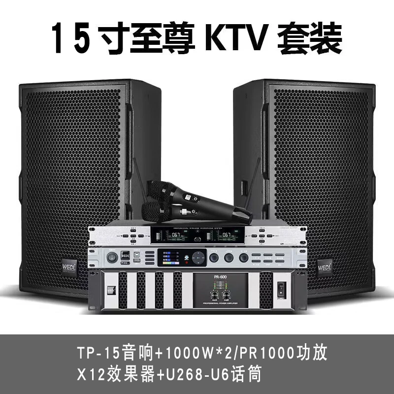 德国 WEDL专业户外K歌TP套装舞台家用高端K音箱酒吧唱歌