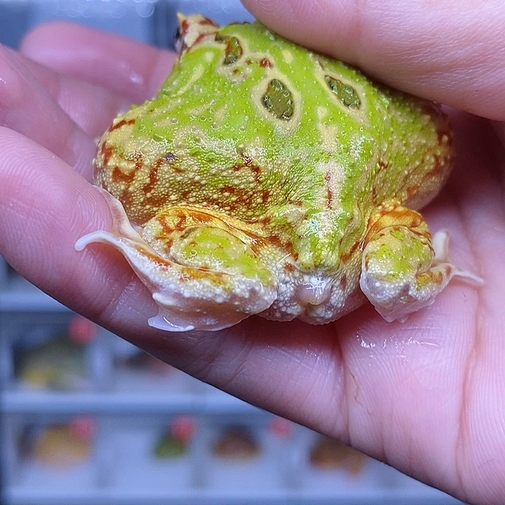 特价秒杀现货特价