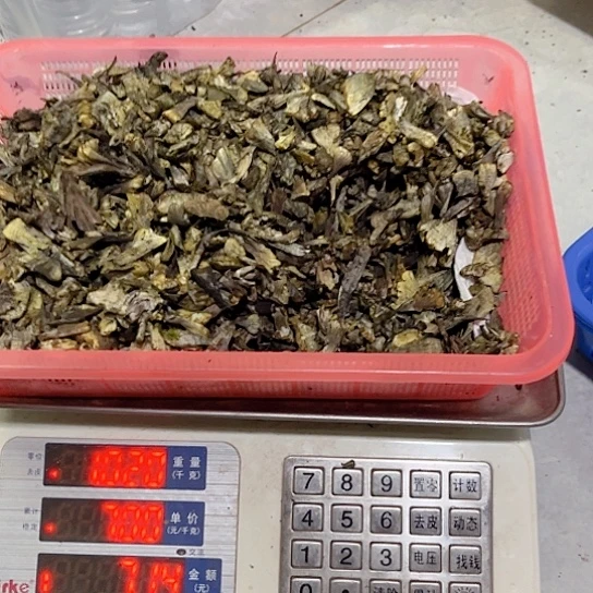 干巴菌超好吃中国大陆