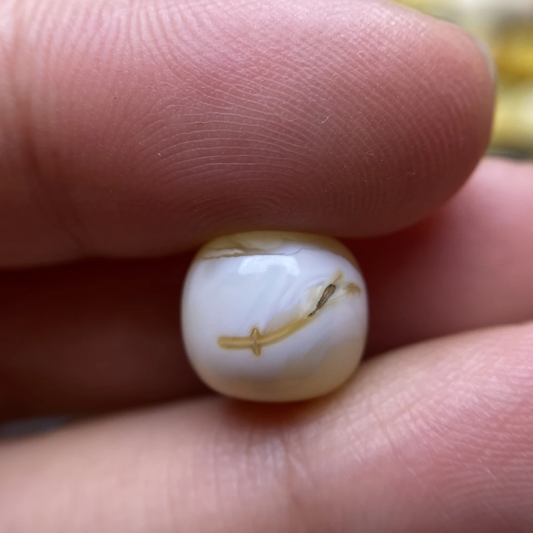 蜜蜡奶白蜡沁色老型配饰10.6×9.6mm，清货不退，带植物，介意勿拍