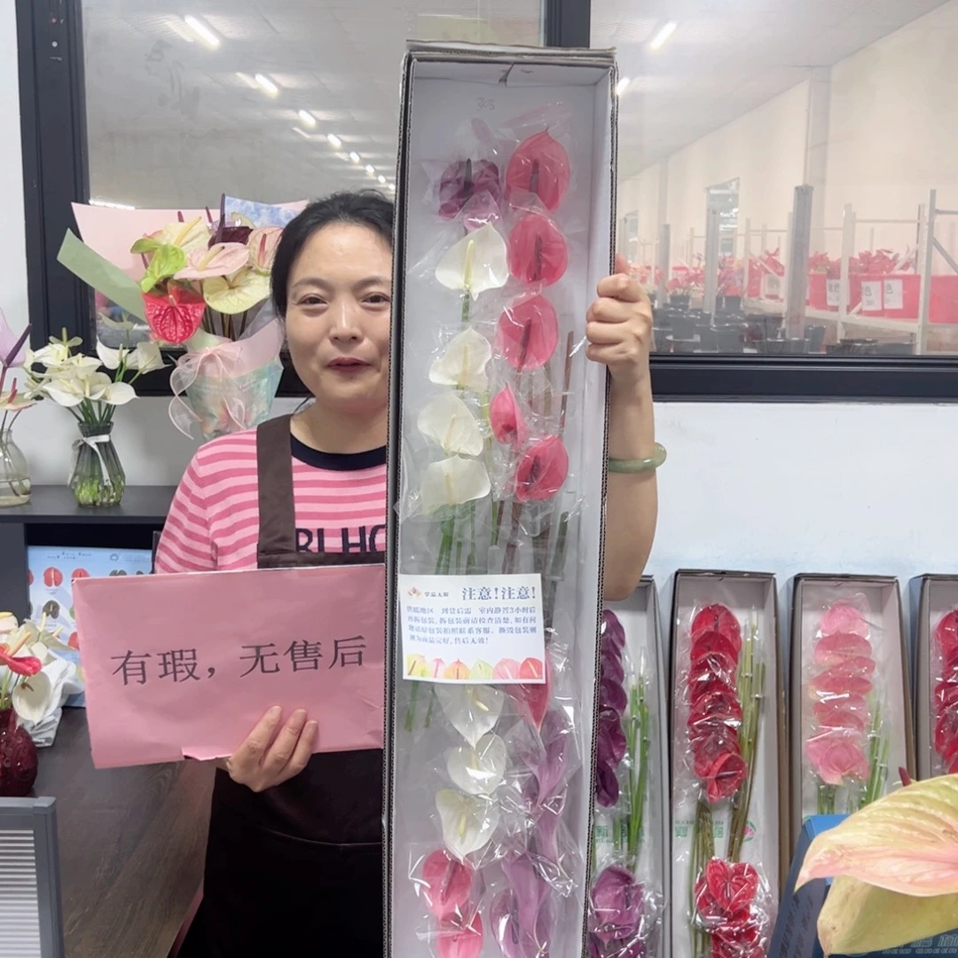完全开放混色20枝微瑕无售后款303
