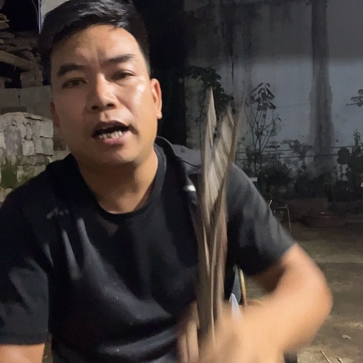 当前无花栽培后可以开花259